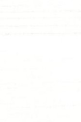 Nobile Wooden Flooring - White Passion - 81018