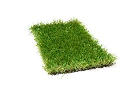 Artificial Grass