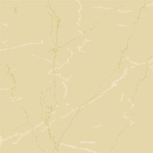 Kajaria Elegant Soluble Salt Tile 