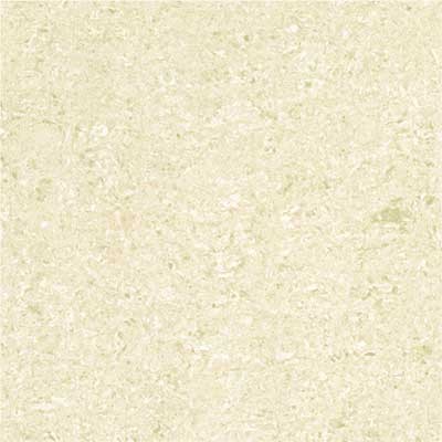 Kajaria Premium Tile 