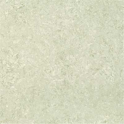 Kajaria Premium Tile 