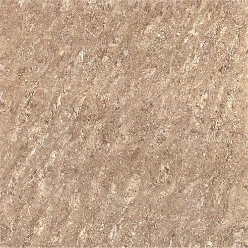 Kajaria Premium Tile 