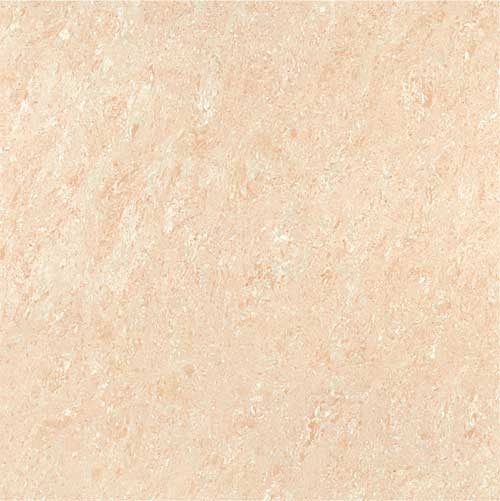 Kajaria Premium Tile 