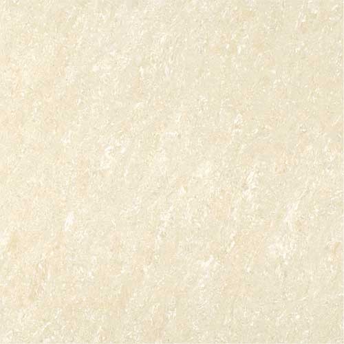 Kajaria Premium Tile 