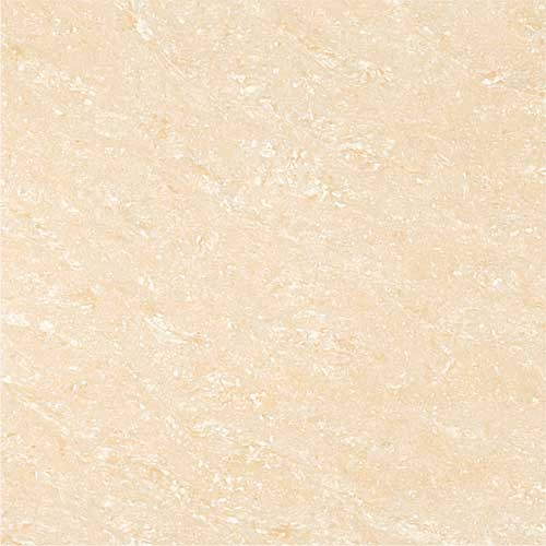Kajaria Premium Tile 