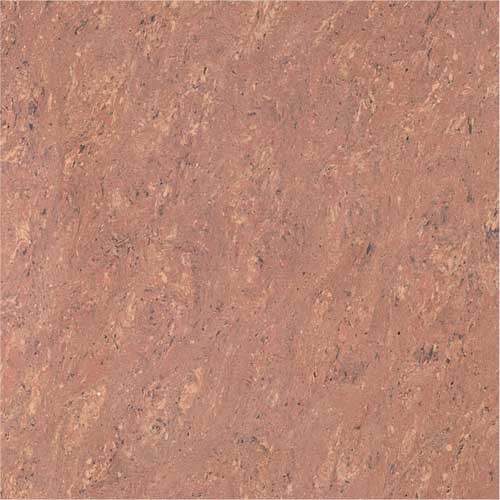 Kajaria Premium Tile 