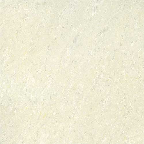 Kajaria Premium Tile 