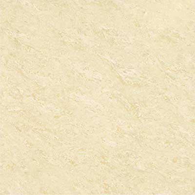 Kajaria Premium Tile 