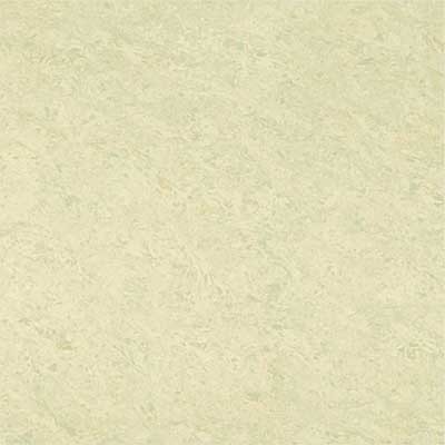 Kajaria Premium Tile 