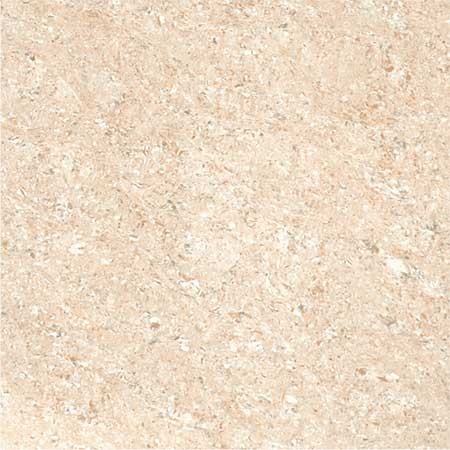Kajaria Premium Tile 