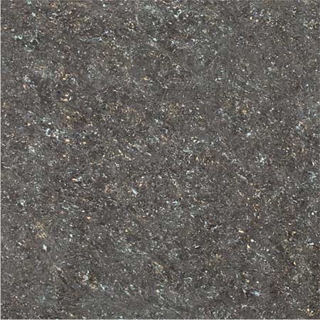 Kajaria Premium Tile 