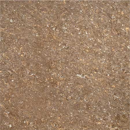Kajaria Premium Tile 