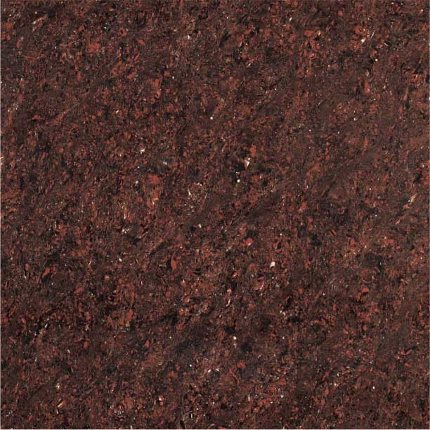 Kajaria Premium Tile 