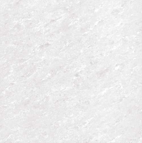 Kajaria Premium Tile 