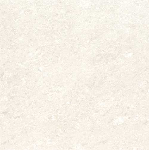 Kajaria Premium Tile 