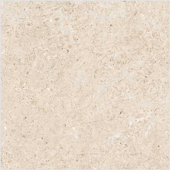 Kajaria Eternity Tile - Select Marfil