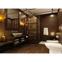 Bathroom design - visualization of comfort  