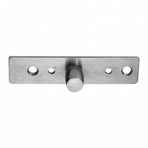 Ozone Hardware - Top Pivot for Symbol/Point Fitting Doors 