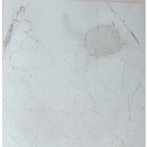 Corby -  Marble Light HGlaminates