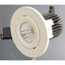 3 WATT COB LIGHT