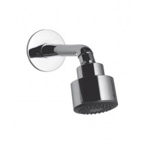 overhead shower with shower arm & wall flange (project)