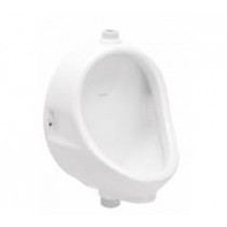 Flat Back Small Special