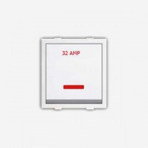 32 AMP D.P SWITCH