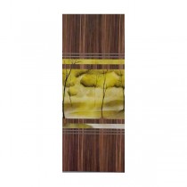 Digital metal door skins 