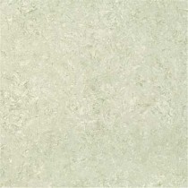 Kajaria Premium Tile 