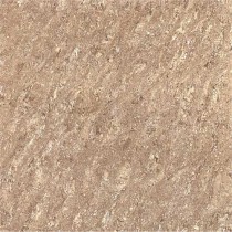 Kajaria Premium Tile 