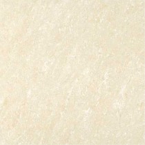 Kajaria Premium Tile 