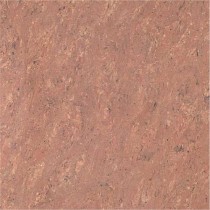 Kajaria Premium Tile 