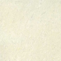 Kajaria Premium Tile 