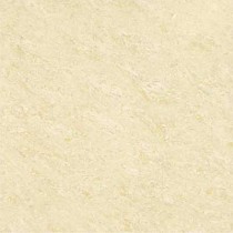 Kajaria Premium Tile 