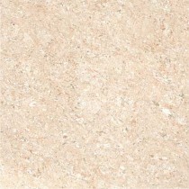 Kajaria Premium Tile 