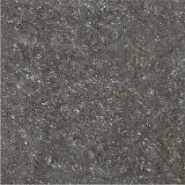 Kajaria Premium Tile 