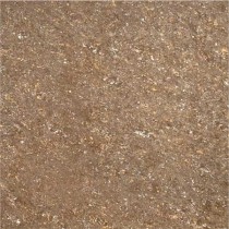 Kajaria Premium Tile 