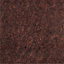 Kajaria Premium Tile 