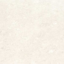 Kajaria Premium Tile 