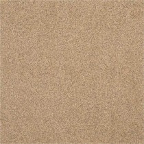 Kajaria Premium Tile 