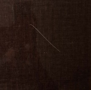 Corby - Brown Jersey Fabric  laminates
