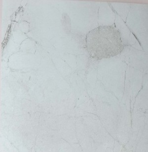 Corby -  Marble Light HGlaminates