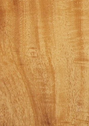 Antique wood Collection