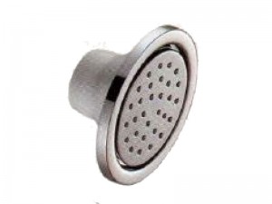 body shower 120 mm dia round shape (brass)