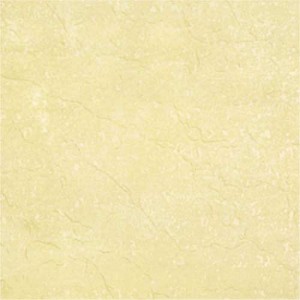 Kajaria Elegant Soluble Salt Tile 
