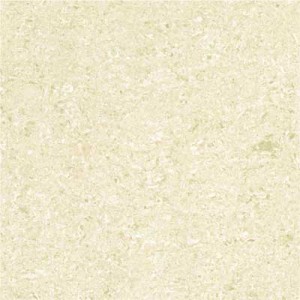 Kajaria Premium Tile 