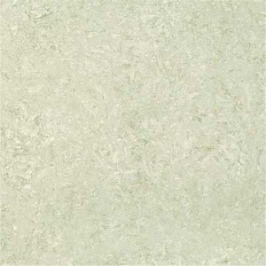 Kajaria Premium Tile 