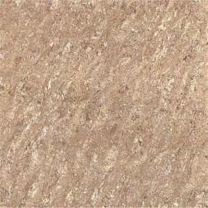 Kajaria Premium Tile 