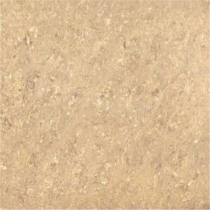 Kajaria Premium Tile 