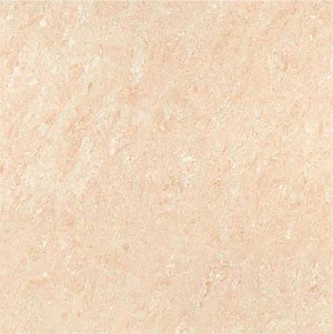 Kajaria Premium Tile 